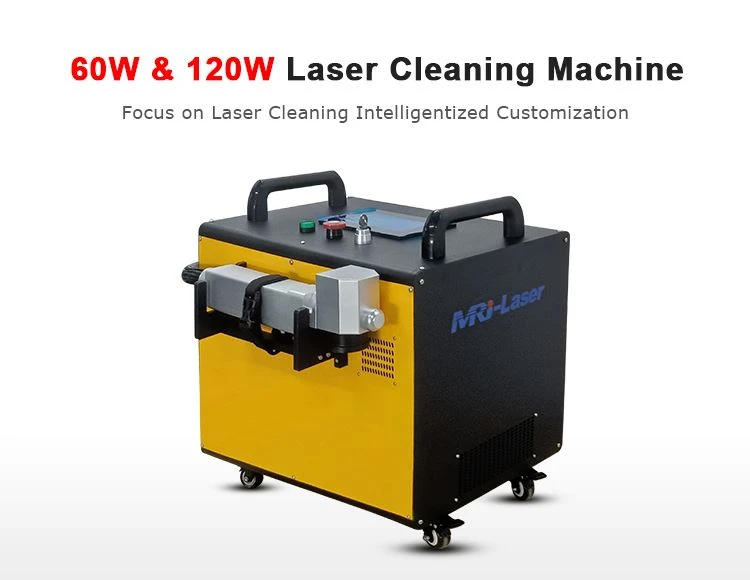 clean laser cl 1000