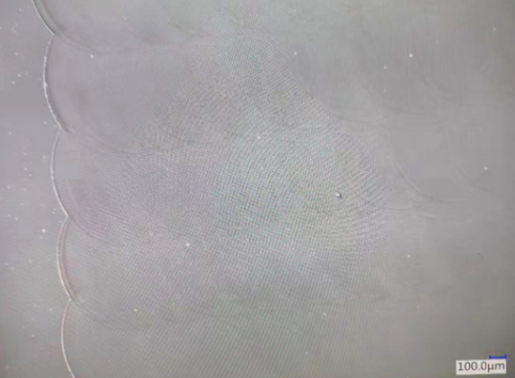 DJWHDCFMZ74WE9MAYS DJWHDCFMZ74WE9MAYS